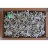 Lá xô thơm trắng - 100gr - Salvia apiana