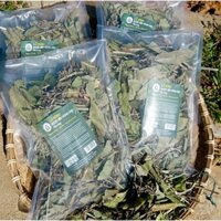 LÁ XÔNG GIẢI CẢM