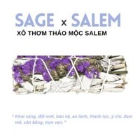 [Labbi] Xô thơm trắng & hoa cúc vàng & Salem (White sage x Salem Herb) - Khai sáng tâm trí