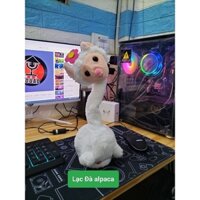 Lạc Đà alpaca