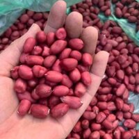 lạc đỏ tây bắc bóc tay giá (1kg)