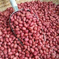 Lạc đỏ Thái Bình hạt mẩy bùi 200gr