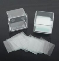 Lamen 22x22mm Trung Quốc