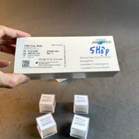 Lamen 24 x 24MM (Marienfeld - Đức) - LABHN