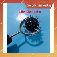 LĂN GAI ĐƠN LỚN - Dụng Cụ Diện Chẩn