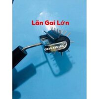 LĂN GAI ĐƠN LỚN - Dung Cụ Diện Chẩn