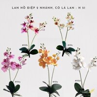 Lan Hồ Điệp 2 Nhánh, Có Lá Su _ Cành Hoa Lan Hồ Điệp Giả Trang Trí Cao Cấp