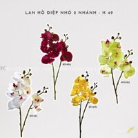 Lan Hồ Điệp Nhỏ 2 Nhánh Su _ Hoa Lan Hồ Điệp Giả Trang Trí Cao Cấp