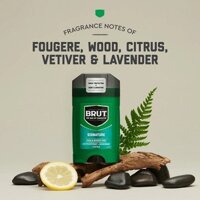 Lăn khử mùi dành cho nam BRUT For Men Of Character Chất chống mồ hôi + Khử mùi - Signature 56g/76g (Mỹ)