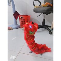Lân mini 1/6