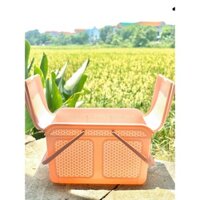 Làn nhựa đựng đồ đi sinh, giỏ đựng quần áo có nắp mây quai xách Việt Nhật cho mẹ và bé màu sắc