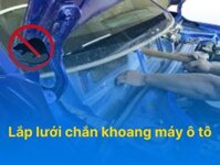 Lắp lưới chắn khoang máy ô tô – Giải pháp cơ học chống chuột xâm nhập