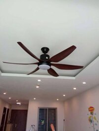 Lắp quạt trần Gia lâm