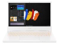 Laptop Acer ConceptD 3 CN314-72-53F0 – Intel Core i5-10300H , RAM 8GB, Ổ cứng SSD 256GB, Đồ họa Intel UHD, Màn hình 14 inch