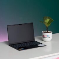 Laptop Asus ZenBook UX425EA-BM113T (i7 1165G7/16GB RAM/512GB SSD/14 FHD/Win10/Xám)