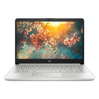 Laptop HP 14s-dq1022TU 8QN41PA (Bạc)