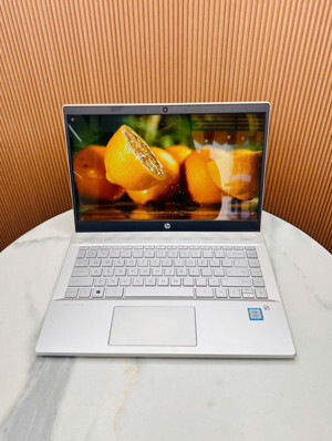 Laptop HP Pavilion 14-ce1008TU 5JN06PA - Intel core i5-8265U, 4GB RAM, HDD 1TB, Intel UHD Graphics 620, 14 inch