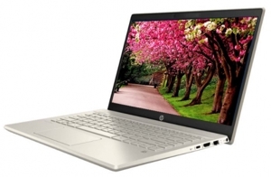 Laptop HP Pavilion 14-ce3019TU 8QP00PA - Intel Core i5-1035G1, 4GB RAM, HDD 1TB, Intel UHD Graphics, 14 inch