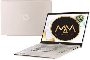 Laptop HP Pavilion 14-ce3027TU 8WJ02PA - Intel Core i5-1035G1, 8GB RAM, SSD 256GB, Intel UHD Graphics, 14 inch