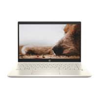 Laptop HP Pavilion 14-dv0013TU (14 inch FHD | i7 1165G7 | RAM 8GB | SSD 512GB | Win 10 | Gold)