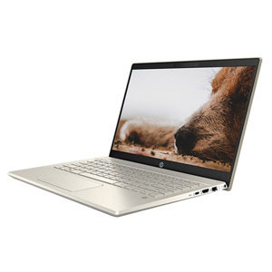 Laptop HP Pavilion 14-dv0013TU 2D7B8PA - Intel Core i7-1165G7, 8GB RAM, SSD 512GB, Intel Iris Xe Graphics, 14 inch