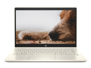 Laptop HP Pavilion 14-dv0013TU 2D7B8PA - Intel Core i7-1165G7, 8GB RAM, SSD 512GB, Intel Iris Xe Graphics, 14 inch