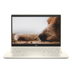 Laptop HP Pavilion 14-dv0041TU 2H3L0PA - Intel Core i3-1115G4, 4GB RAM, SSD 256GB, Intel UHD Graphics, 14 inch