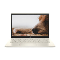 Laptop HP Pavilion 14-dv0042TU 14 inch FHD | i5 1135G7 | RAM 8GB | SSD 256GB | Win 10 | Gold)
