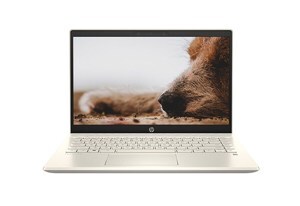 Laptop HP Pavilion 14-DV0507TU (46L76PA) - Intel Core i7-1165G7, RAM 8GB, 512GB SSD, VGA Intel Iris Xe Graphics, 14 inch