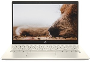 Laptop HP Pavilion 14-dv0534TU 4P5G3PA - Intel Core i7-1165G7, 8GB RAM, SSD 512GB, Intel Iris Xe Graphics, 14 inch
