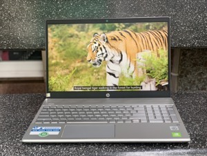 Laptop HP Pavilion 15-cs3061TX 8RE83PA - Intel Core i5-1035G1, 8GB RAM, SSD 512GB, Nvidia GeForce MX250 2GB GDDR5, 15.6 inch