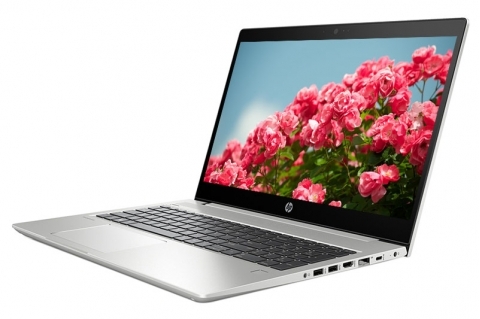 Laptop HP ProBook 450 G6 8AZ17PA - Intel Core i5-8265U, 8GB RAM, SSD 256GB, Intel UHD Graphics 620, 15.6 inch