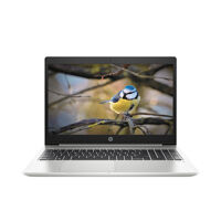 Laptop HP ProBook 450 G7 9LA51PA (Bạc)