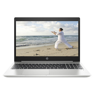 Laptop HP Probook 455 G6 6XA87PA - AMD Ryzen 5 2500U, 8GB RAM, HDD 1TB, AMD Radeon Vega 8 Graphics, 15.6 inch