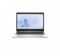 Laptop Hp ProBook 455 G7 1A1A9PA (R5-4500U / 4G/ 256GSSD/ 15.6" / W10)