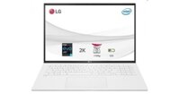 Laptop LG Gram 2021 17ZD90P-G.AX71A5