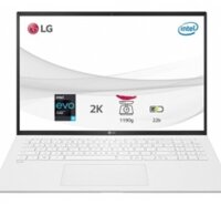 Laptop LG Gram 2021 17ZD90P-G.AX71A5