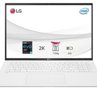 Laptop LG Gram 2021 17ZD90P-G.AX71A5