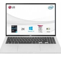 Laptop LG Gram 2021 17Z90P-G.AH78A5 Đen (I7/ 16G/ SSD 1TB/ WIN 10)