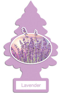 Lavender - Hương hoa oải hương
