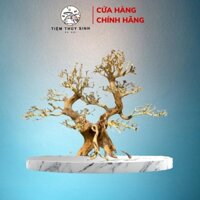 Layout Bonsai Thủy Sinh, Lũa Bonsai Trang Trí Bể Cá, Cây Bonsai Setup Bể Thuỷ Sinh MiniCây Bons