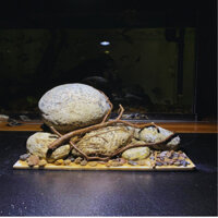 Layout đá cuội vân mây trang trí bể thủy sinh Biotop không Co2 - Bể cá mini để bàn làm việc