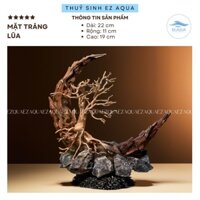 Layout mặt trăng lũa thuỷ sinh trang trí hồ cá kích thước phù hợp nhiều hồ