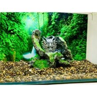 Layout núi đá hang rồng, sạn suối setup bể cá thủy sinh (TC7B)