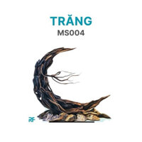 Layout Trăng dùng trang trí bể cá kích thước 30x20x20cm, bể mini cubic20 (Ms004)