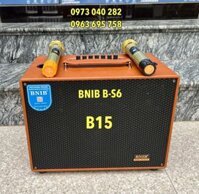 lBNIB B 6S loa bass 15, 3 đường tiếng âm thanh cực hay hàng chính hãng