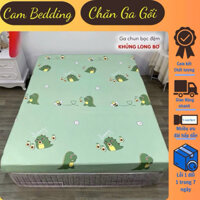 Lẻ Ga Trải Giường Cotton Poly Đủ Kích Thước 1m6 , 1m8 ,2m2