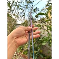 Lẻ Khúc, Lẻ Đoạn Cần UL Rancy 4 Khúc Fuji Oring