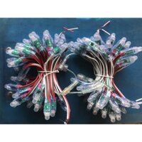 Led 1903 làm ph hoa ngoài trời bó 50 bóng[Bản Đẹp]