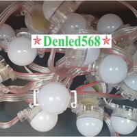 Led bát F30 1 dây 30 bóng full màu chạy viền